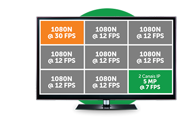 bnc+ip_1008