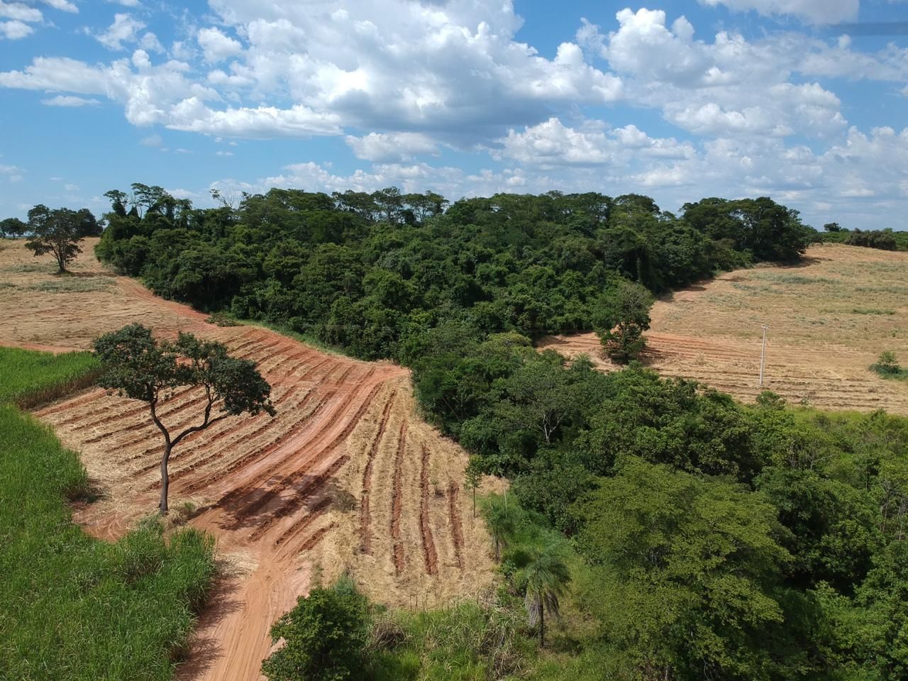 Regularizao Ambiental de Imveis Rurais