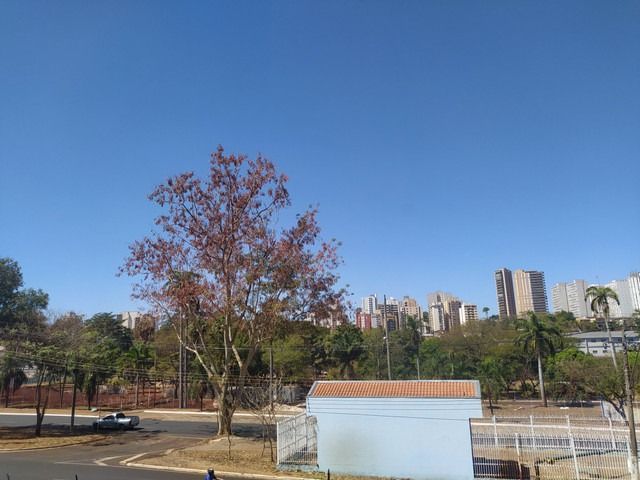 Apartamento - Venda - Av. do caf�- Ribeir�o Preto 