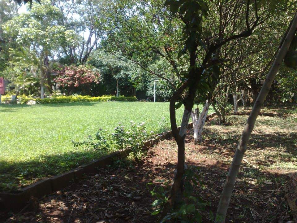 Chácara - Venda - Jardim das Palmeiras - Ribeirão Preto Chácara - Venda - Jardim das Palmeiras - Ribeirão Preto