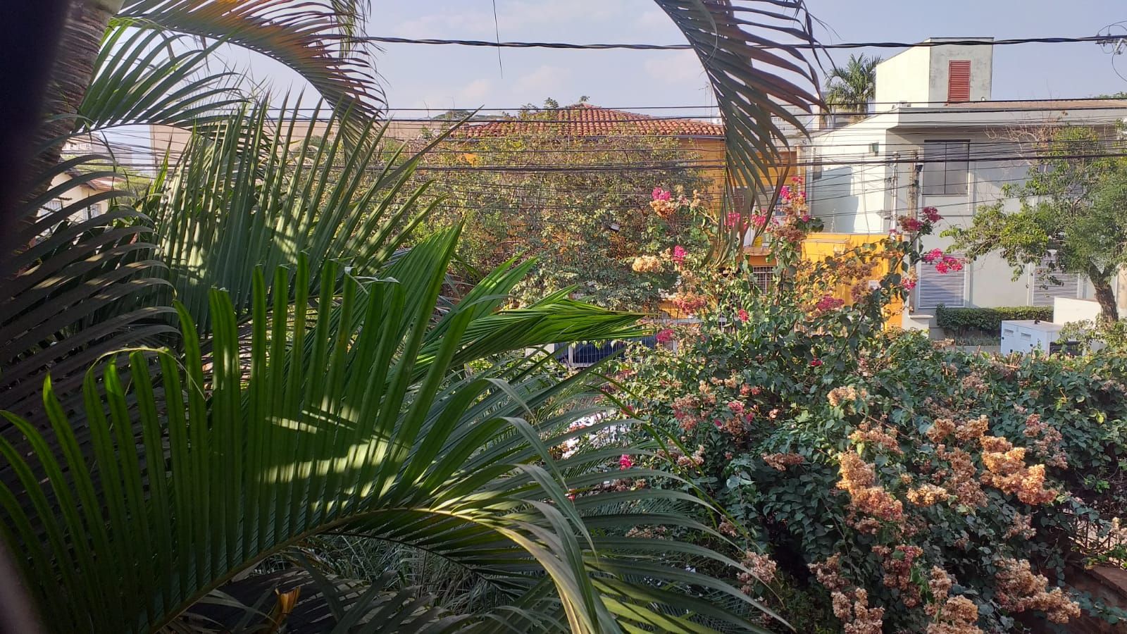 Sobrado  -  - Jd. Sumar� - Ribeir�o Preto 