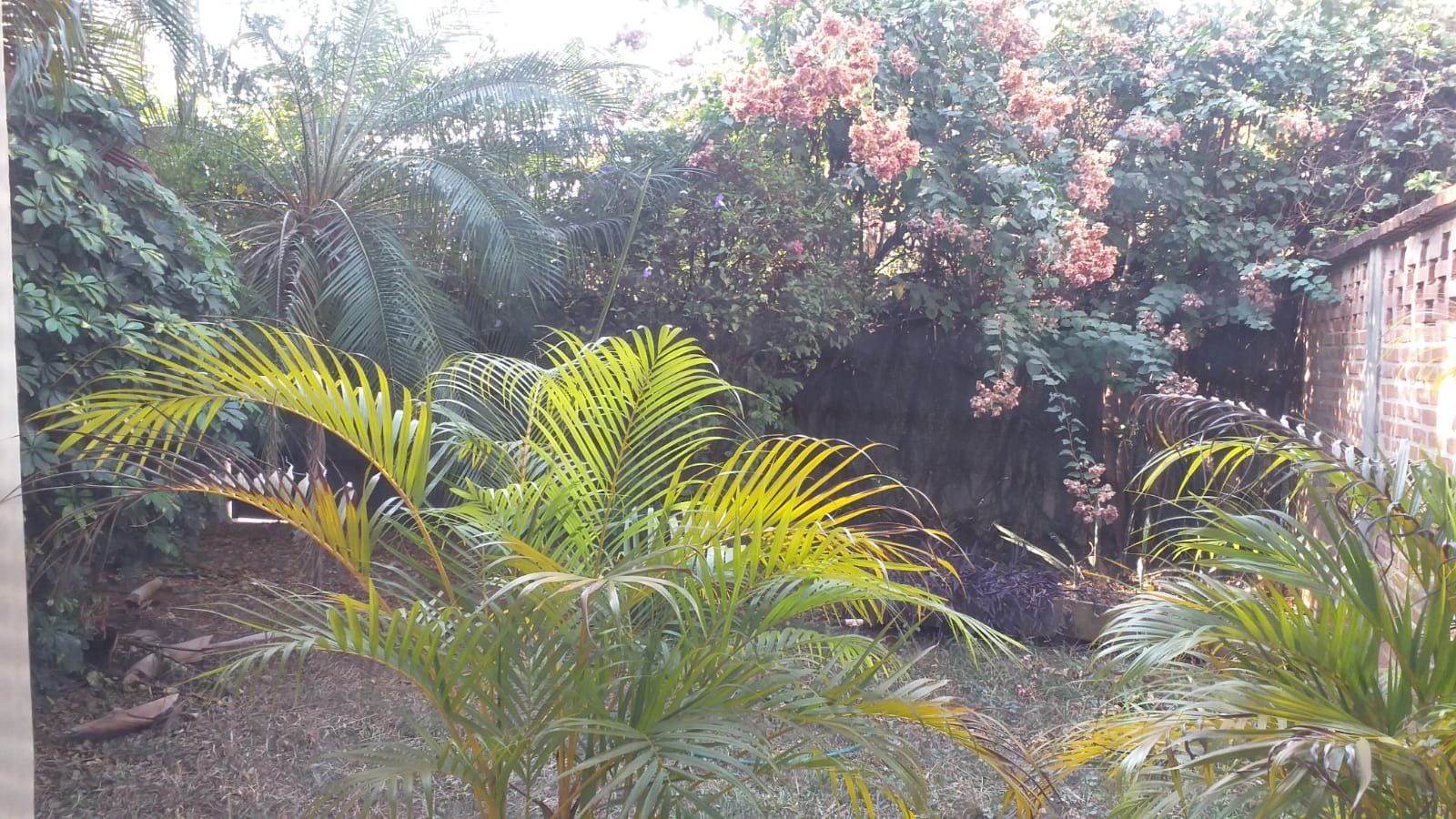 Sobrado  -  - Jd. Sumar� - Ribeir�o Preto 