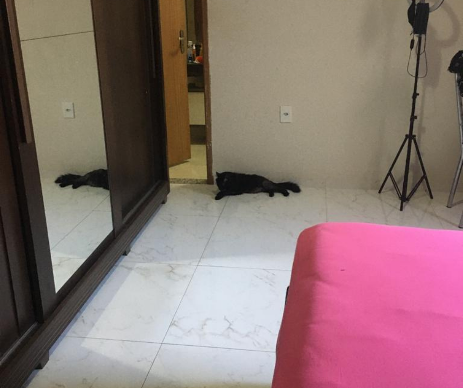 Casa - Venda - Jd. Portugal - Ribeirão Preto Casa - Venda - Jd. Portugal - Ribeirão Preto