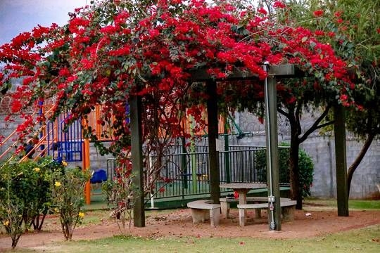 Apartamento - Venda - Lagoinha - Ribeir�o Preto 