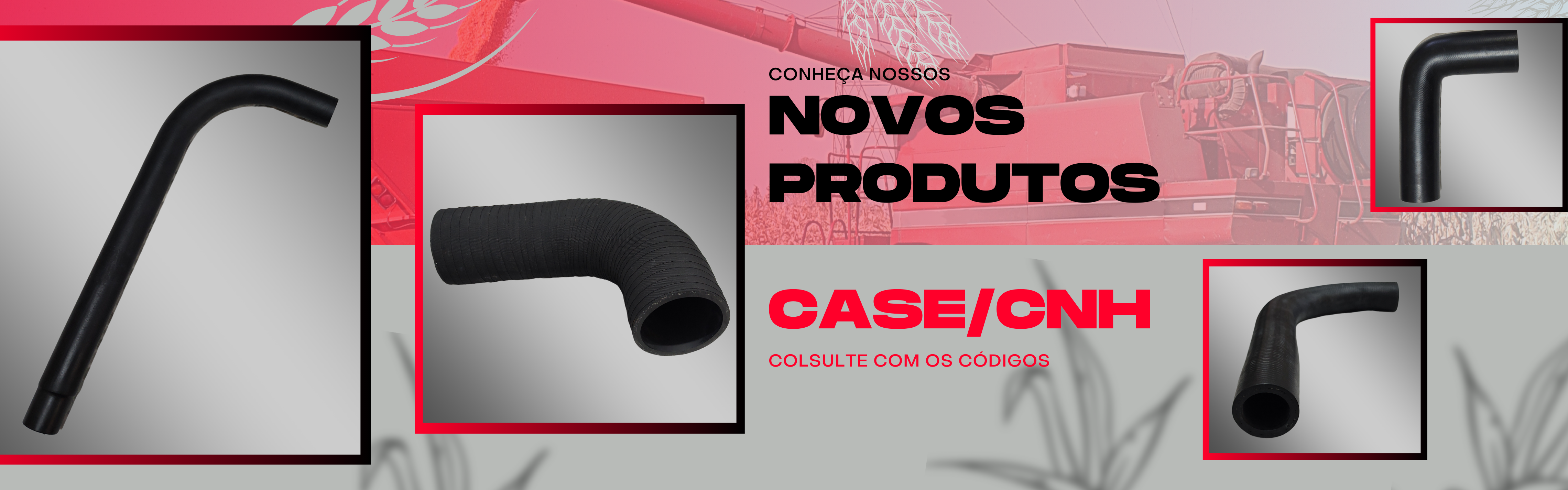 Novos produtos 