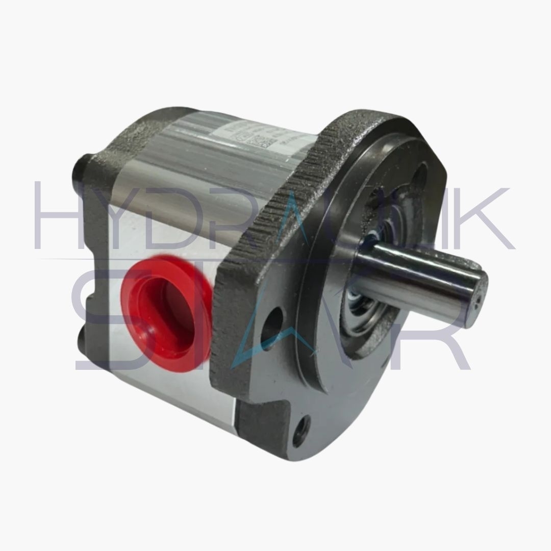 Bomba de Engrenagem R979000823