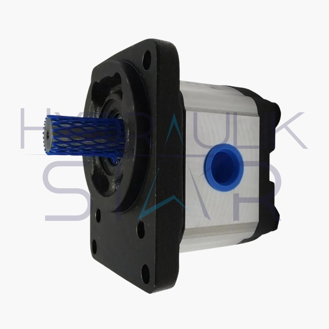 Bomba de Engrenagem F000510616