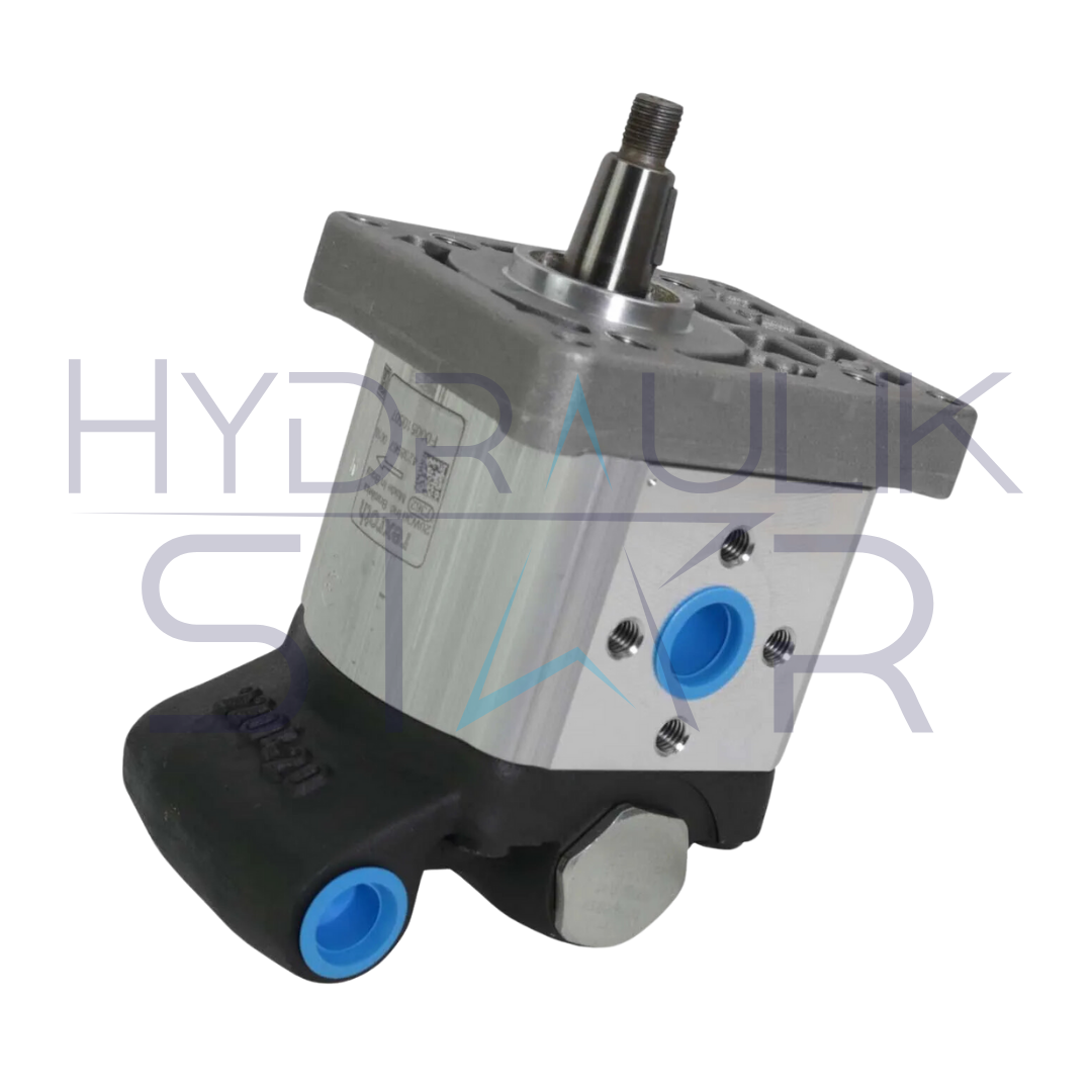 Bomba de Engrenagem F000510507
