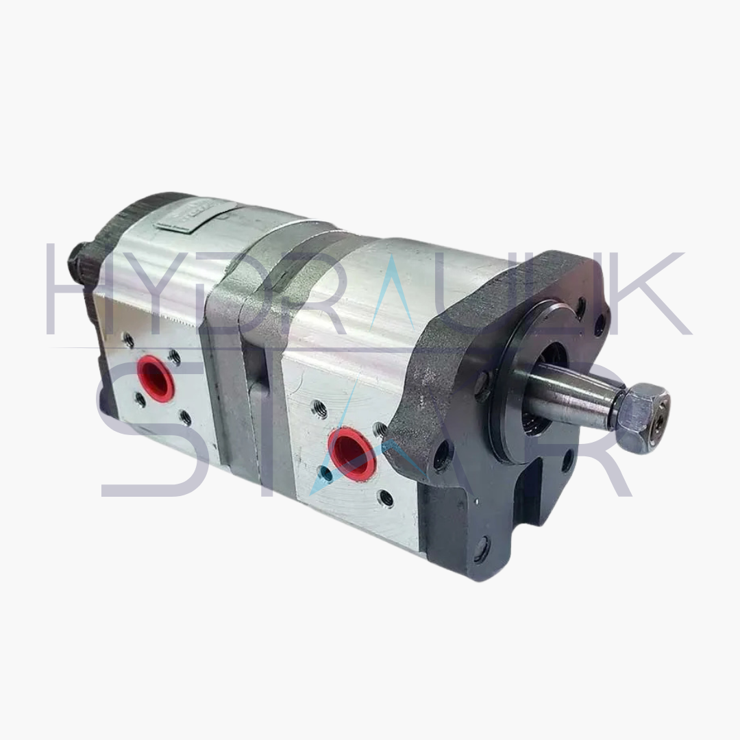 Bomba de Engrenagem F000510502