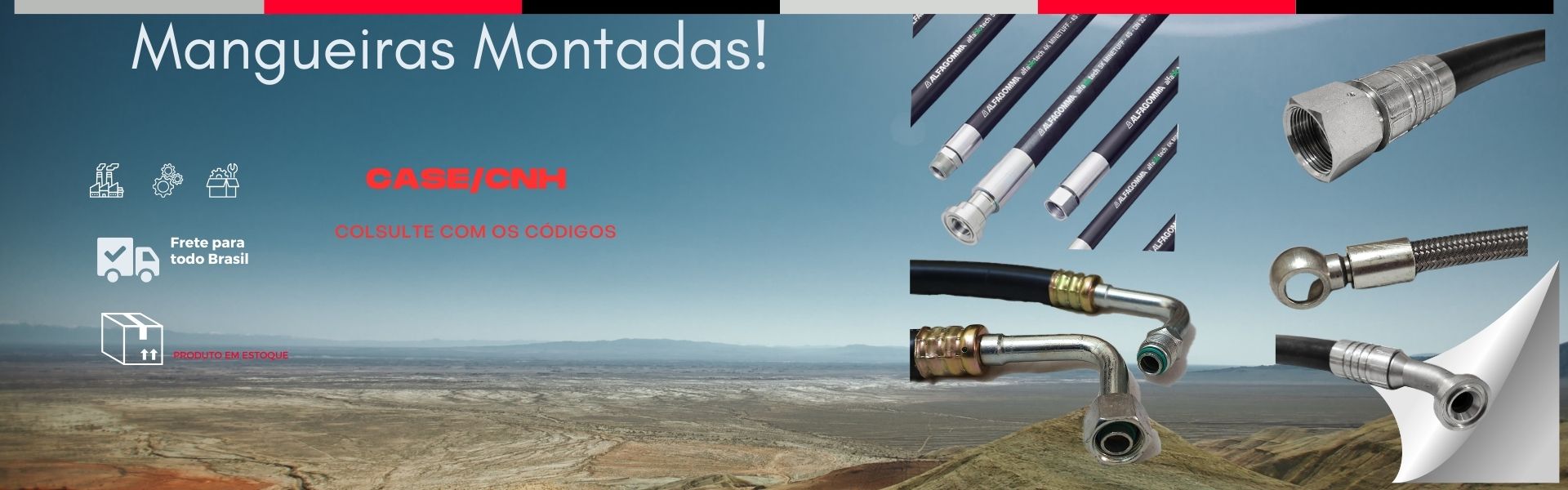 Terminais