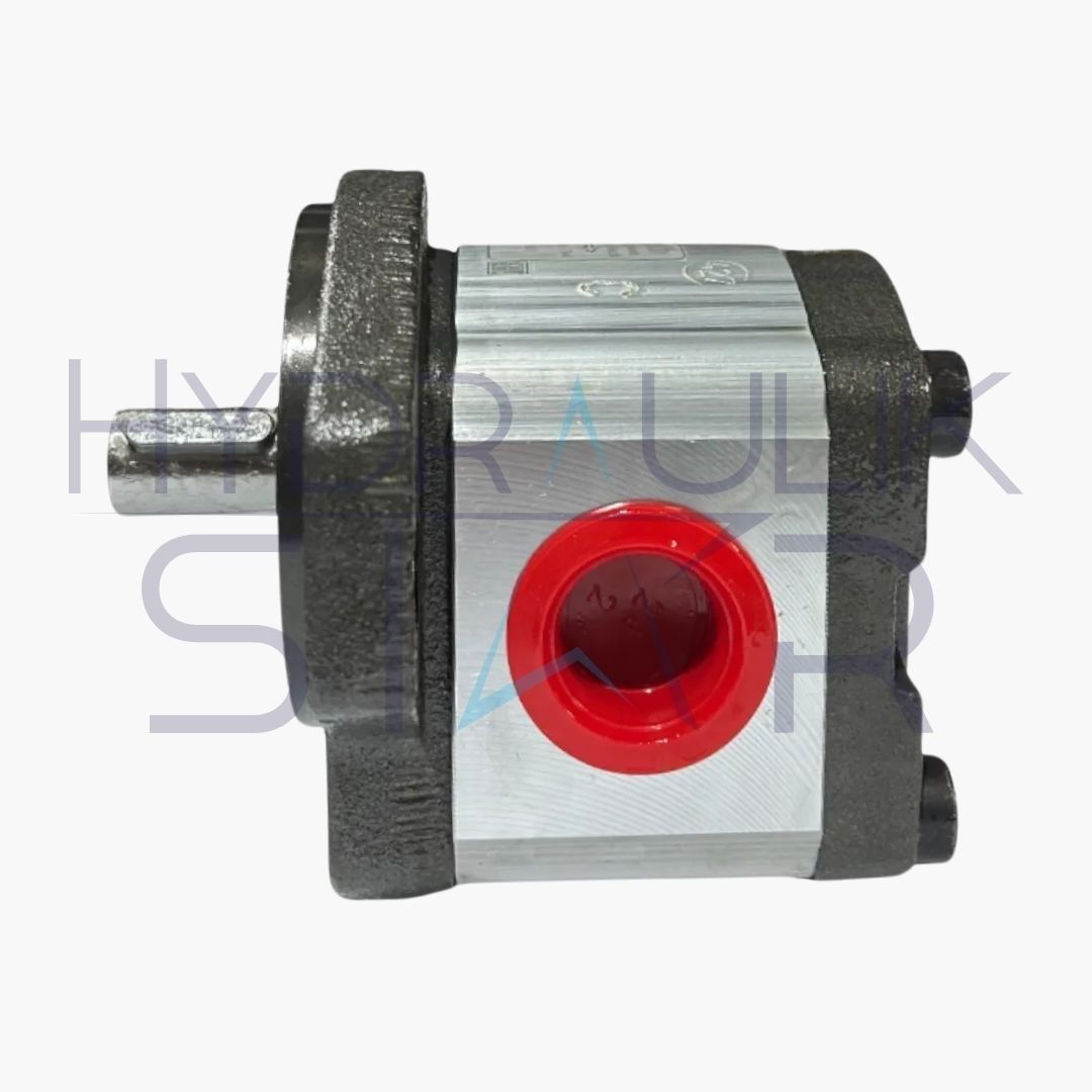 Bomba de Engrenagem F000510202