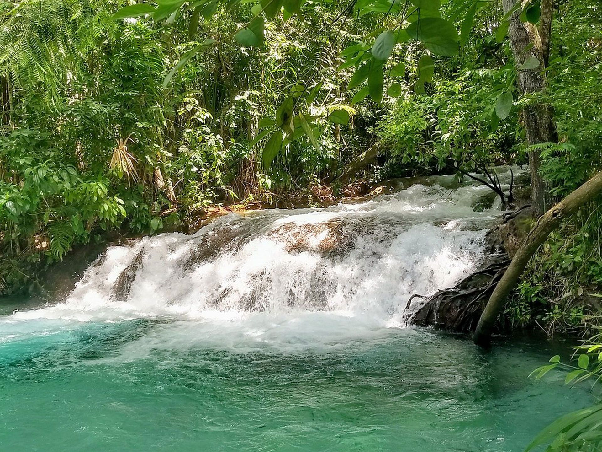 Cachoeira do Formiga no Jalapo: mergulhe em guas cristalinas e viva uma experincia nica