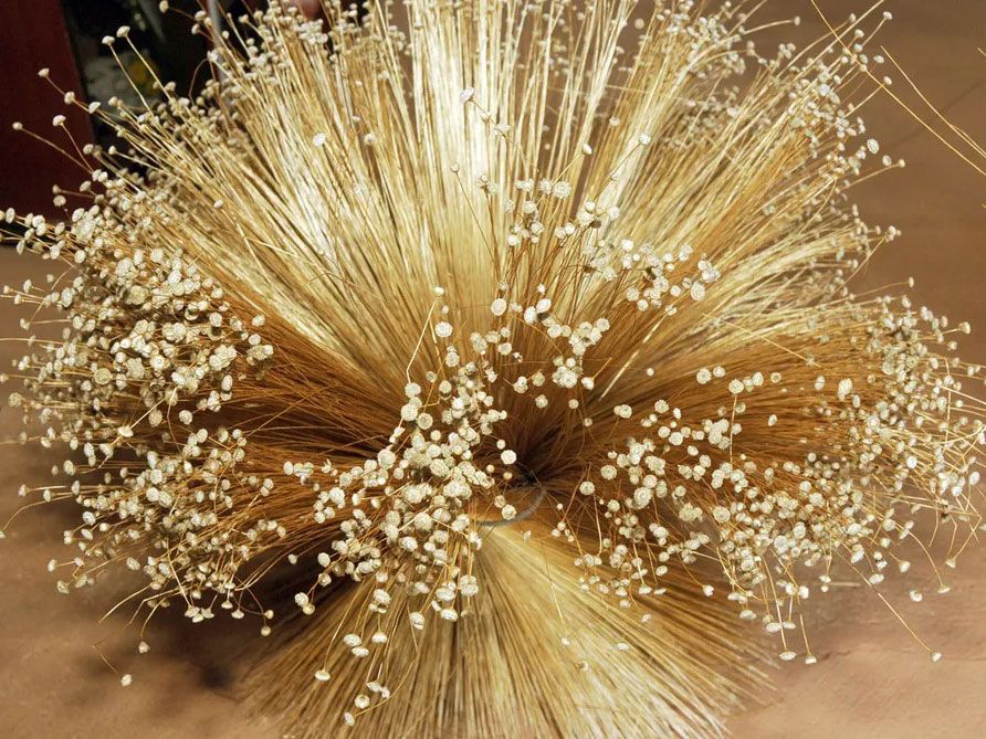 Capim Dourado: o tesouro do Jalapo que voc precisa conhecer com a 100 Limites
