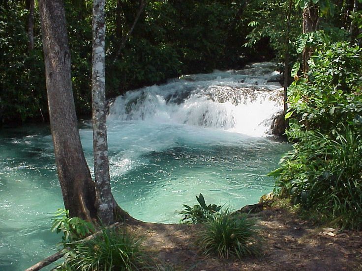Mateiros Jalapo  O Que Fazer no Corao do Tocantins com a 100 Limites Expedies