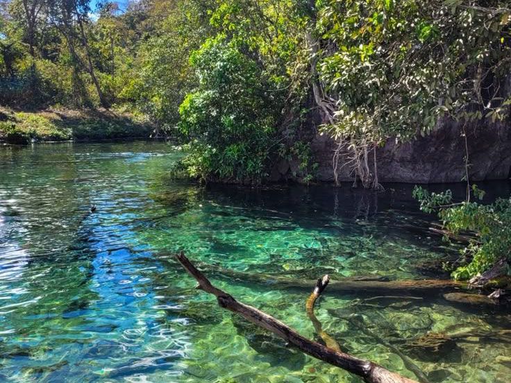 Onde Fica a Lagoa do Japons no Jalapo e Como Conhecer com a 100 Limites Expedies